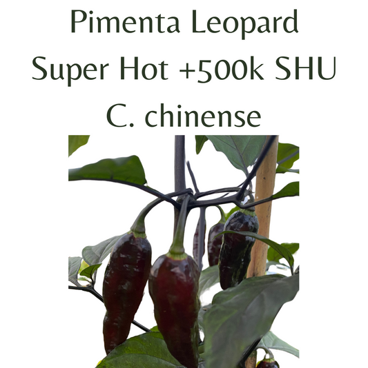 ?!label-Indicative photo