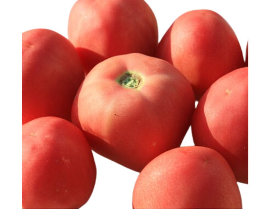 ?!label-Indicative photo