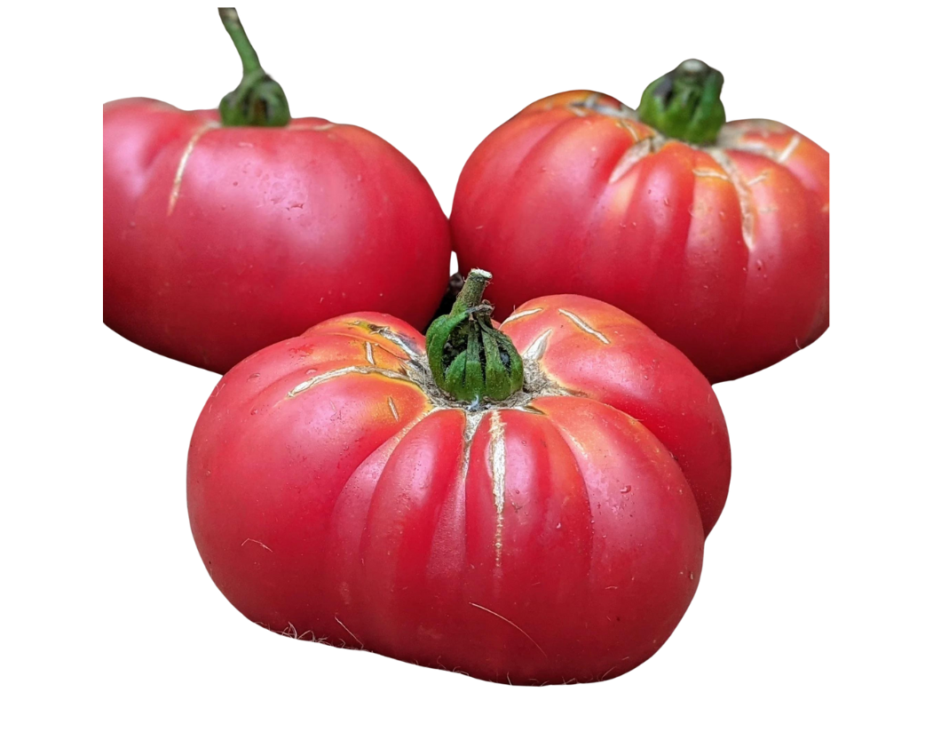 ?!label-Indicative photo