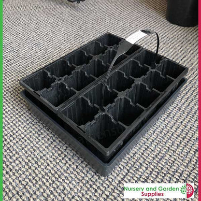 10 cell Seedling Punnet with optional handle