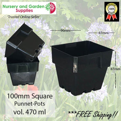 100mm SQUARE SQUAT Plastic Punnet Pot BLACK