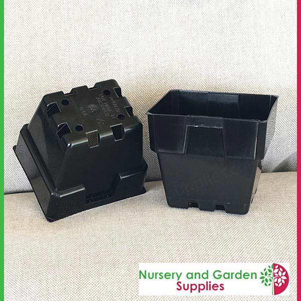 100mm Square Squat Punnet-Pot Black - for more info go to nurseryandgardensupplies.com.au