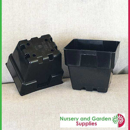 100mm Square Squat Punnet-Pot Black - for more info go to nurseryandgardensupplies.com.au