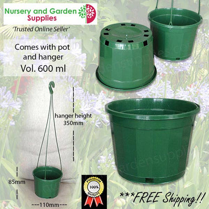 115mm Hanging Basket Pot Green (Pot & Hanger)