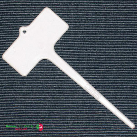 125mm ORCHID Label
