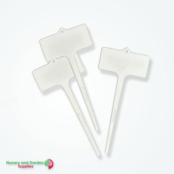 125mm ORCHID Label