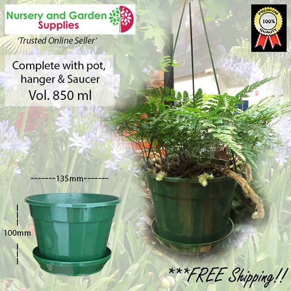 140mm Hanging Basket Green (Pot, Saucer & Hanger)