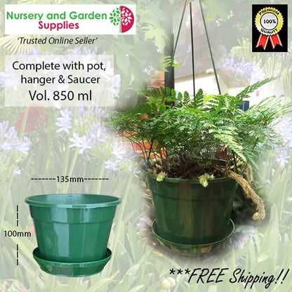 140mm Hanging Basket Green (Pot, Saucer & Hanger)
