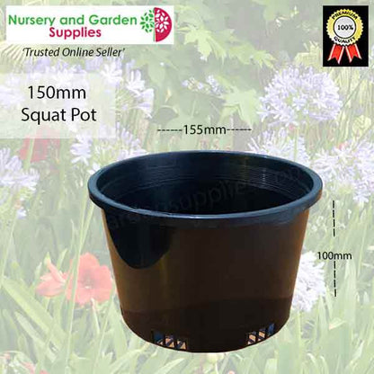 150mm Squat Pot (height-100mm)