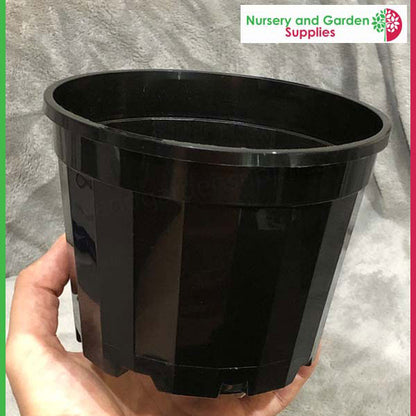 150mm Squat Pot Decorative