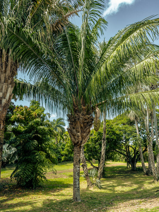 ?!label-Indicative photo