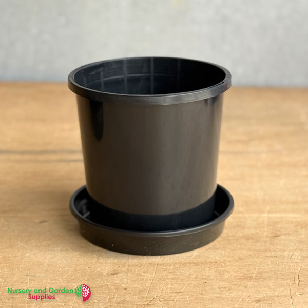 165mm Black Pot with Saucer – Nursery Combo Pack