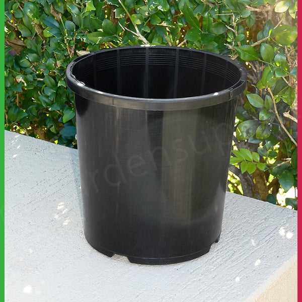 165mm Black Pot with Saucer – Nursery Combo Pack