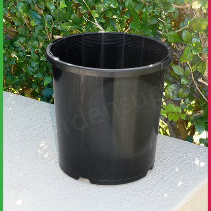 165mm Black Pot with Saucer – Nursery Combo Pack