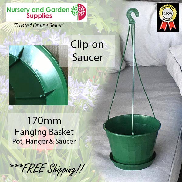 170mm Hanging Basket Pot Green (Pot, Saucer & Hanger)
