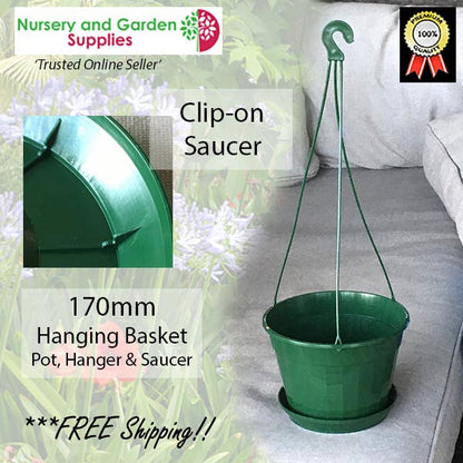 170mm Hanging Basket Pot Green (Pot, Saucer & Hanger)