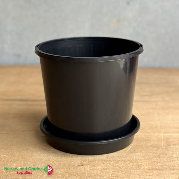 200mm Black Pot with Saucer – Nursery Combo Pack