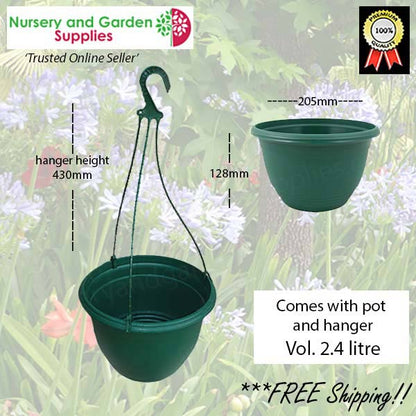 200mm Hanging Basket Green saucerless (Pot & Hanger)