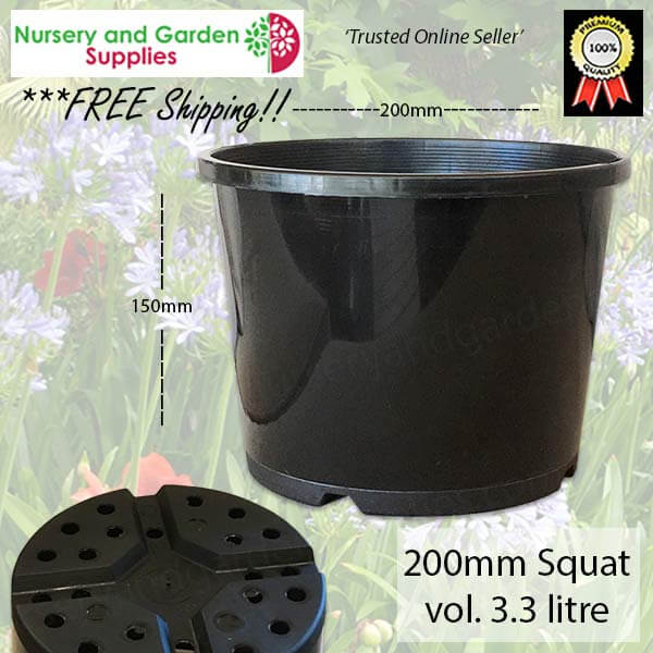 200mm Squat Plant Pot Black