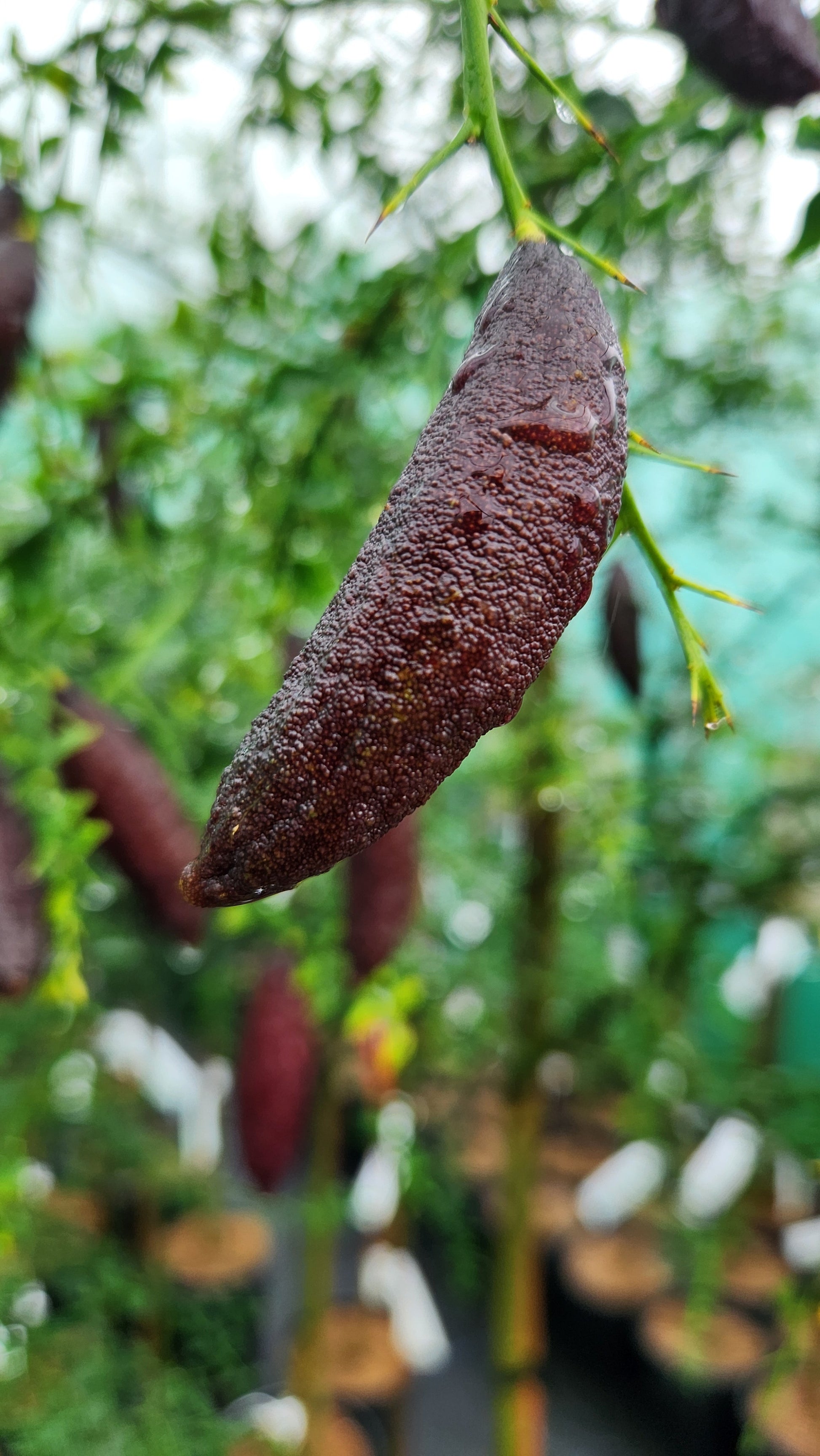 ?!label-Indicative photo