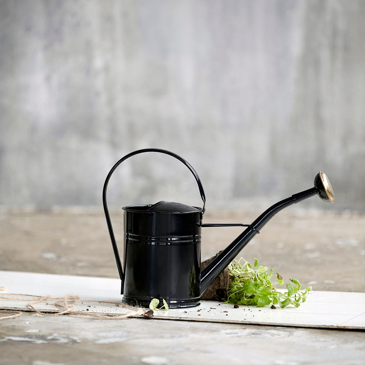 Wave Watering Can 2L