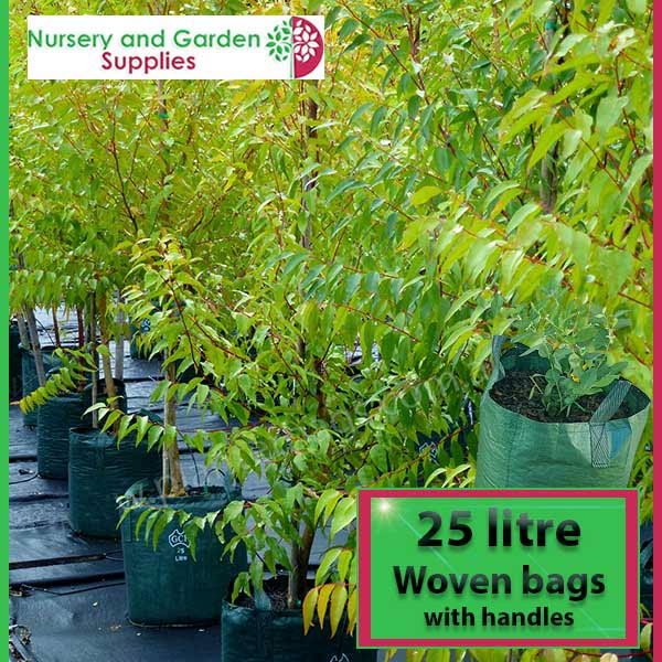 25 litre Woven Planter Bag with handles