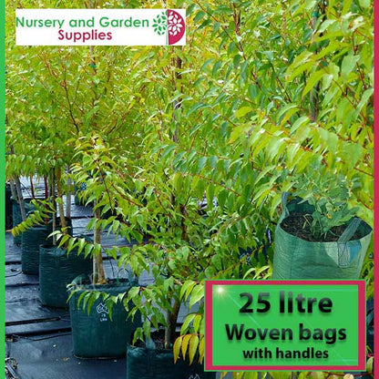 25 litre Woven Planter Bag with handles