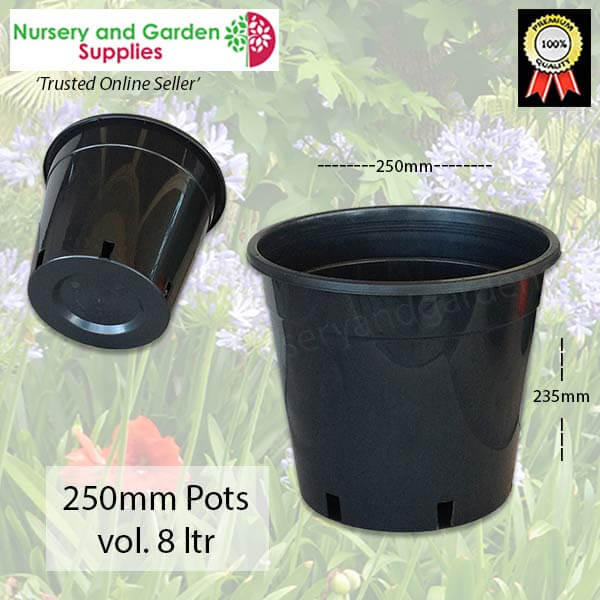 250mm Plant Pot (10")