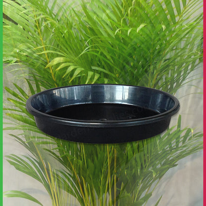 Saucer to suit 250mm Pot (Drip Tray)