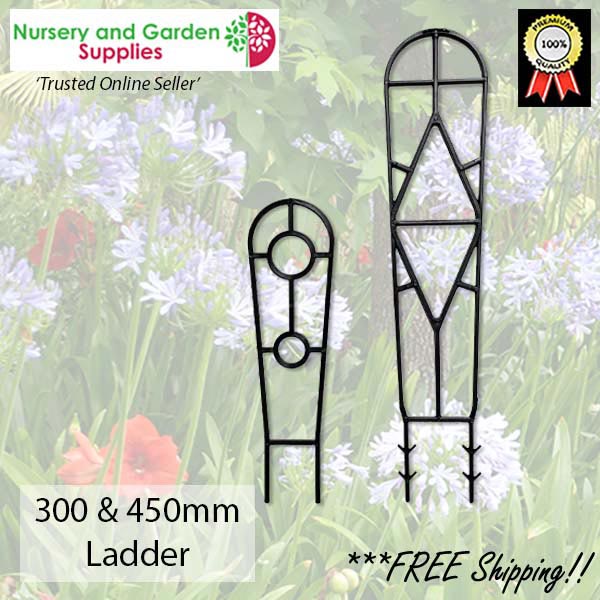 300mm Ladder / Plant Trainer in Black