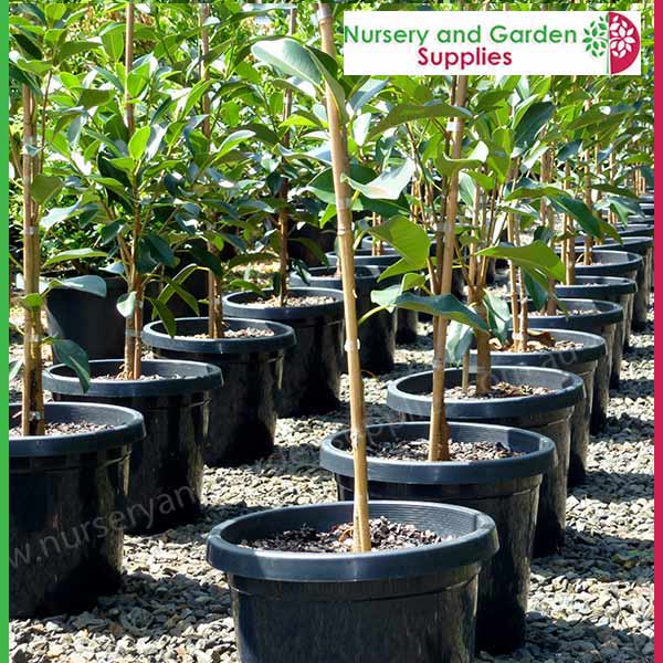 300mm Plant Pot
