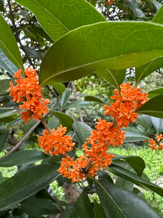 ?!label-Indicative photo