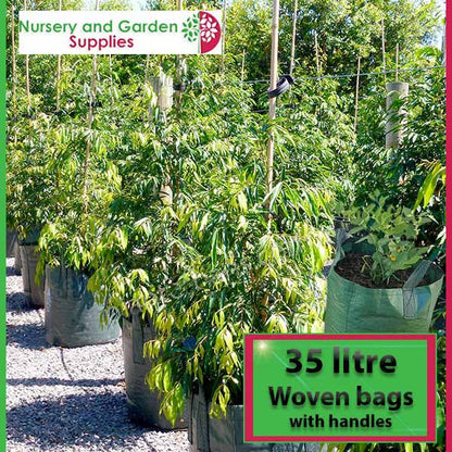 35 litre Woven Planter Bag with handles