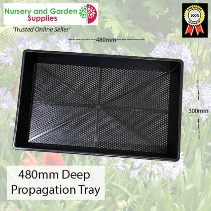 480mm Propagation Tray Deep