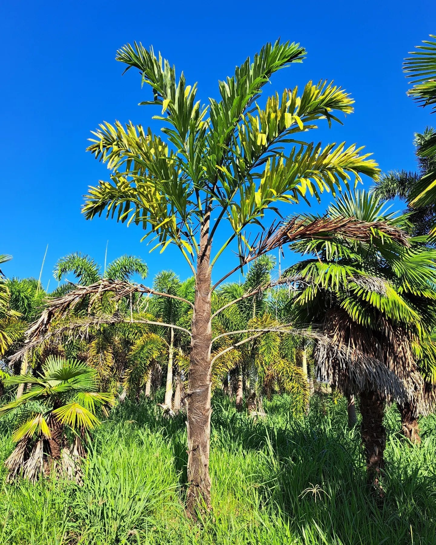 ?!label-Indicative photo