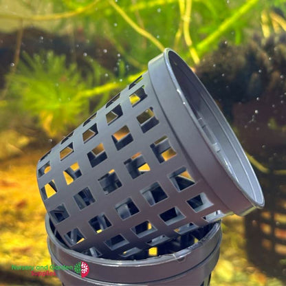 50mm Net Pot TEKU