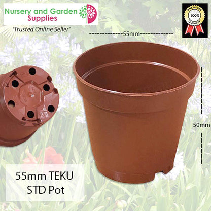 55mm Teku Standard Pot Terracotta