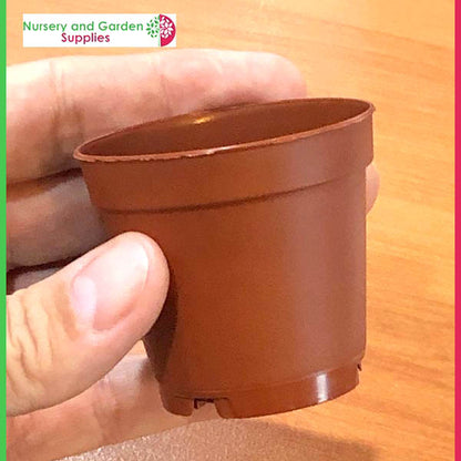 55mm Teku Standard Pot Terracotta