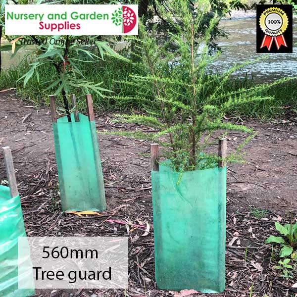 560mm Tree Guard Surrounds 100µm