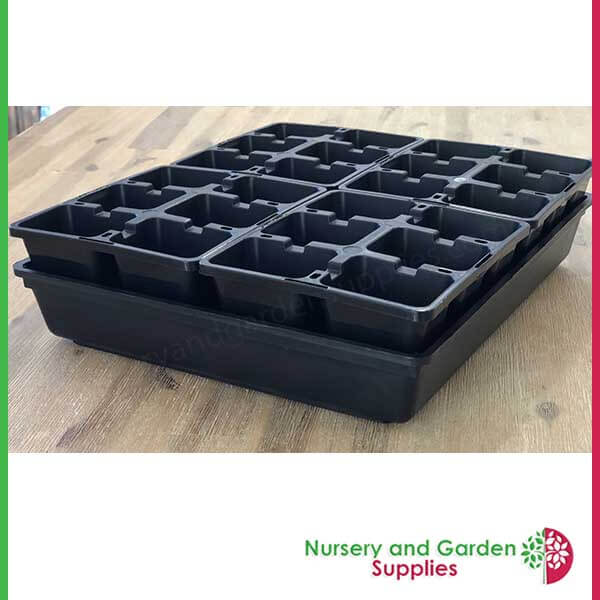 6 cell Seedling Moulded Punnet LARGE Black
