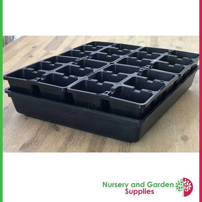 6 cell Seedling Moulded Punnet LARGE Black
