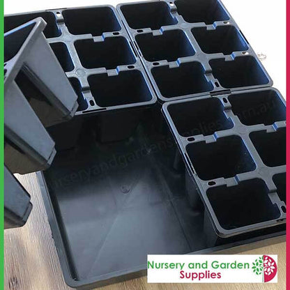 6 cell Seedling Moulded Punnet LARGE Black