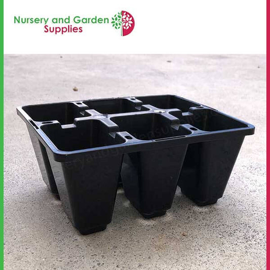 6 cell Seedling Moulded Punnet LARGE Black