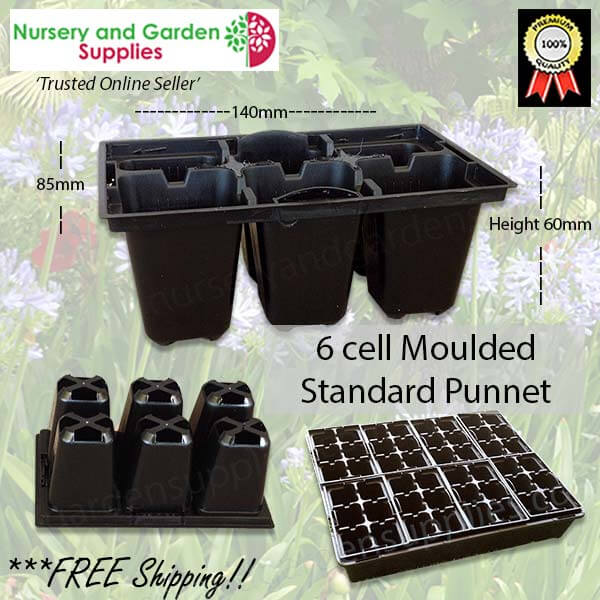 6 cell Moulded Punnet Standard PUN6STK