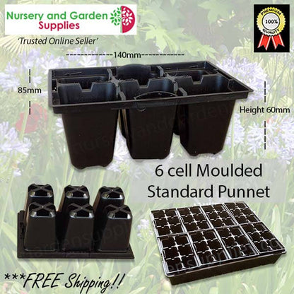 6 cell Moulded Punnet Standard PUN6STK