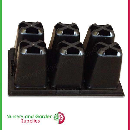 6 Cell Moulded Punnet Standard