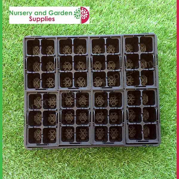 6 Cell Moulded Punnet Standard