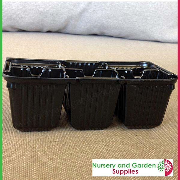 6 cell Thermoformed Seedling Punnet Metric at Nursery and Garden Supplies NZ - for more info go to nurseryandgardensupplies.co.nz