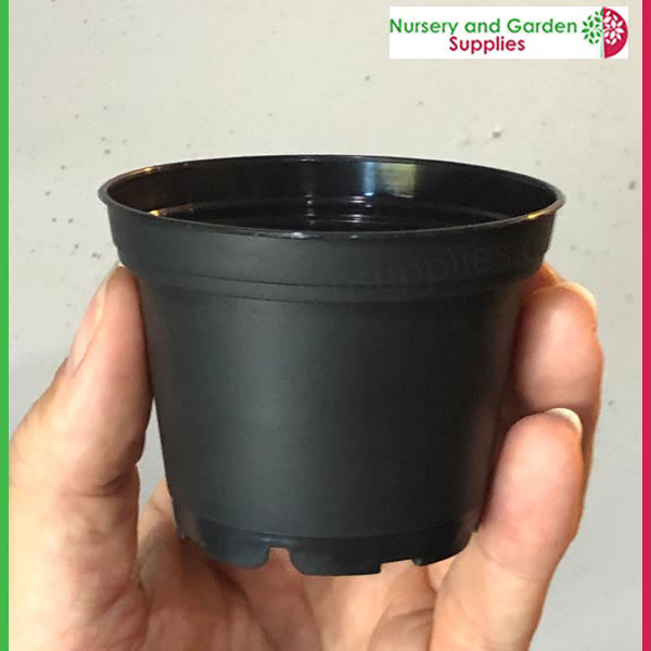70mm Squat Pot Black