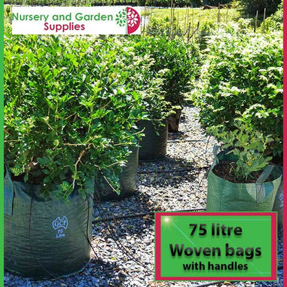 75 litre Woven Planter Bag with handles